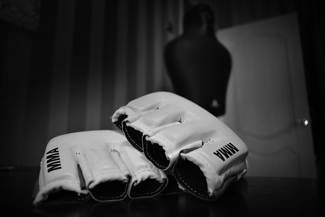 best mma gloves, mma sparring gloves, mma gloves