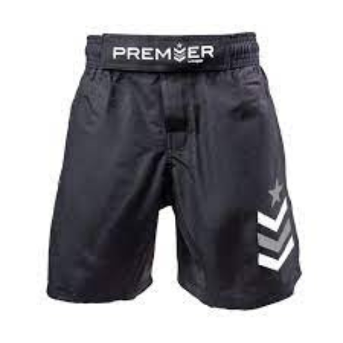 best mma shorts-RevGear Premier Kids