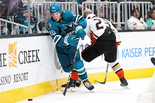 Sharks forward Fabian Zetterlund (20) reaches for the puck as Mason McTavish attempt to check him along the boards